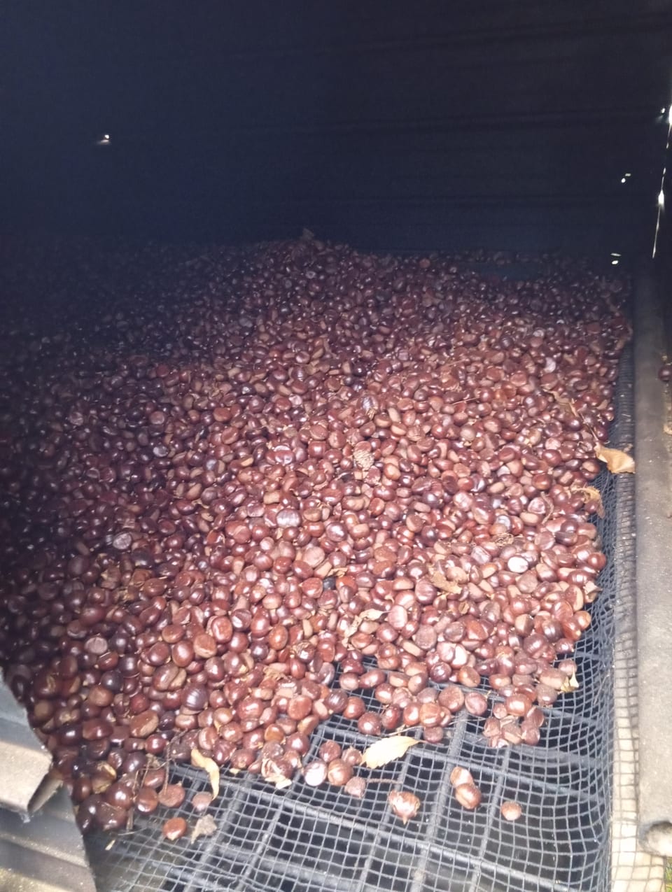 Castagne e farina di castagne