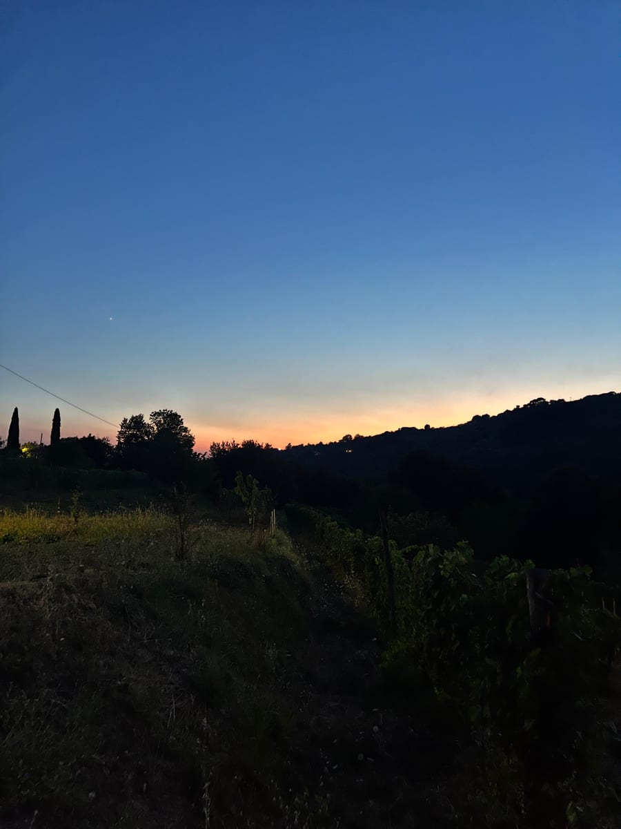 Uno sguardo a Cà Vidè 5