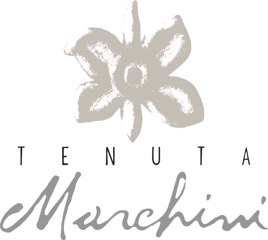 Tenuta Marchini