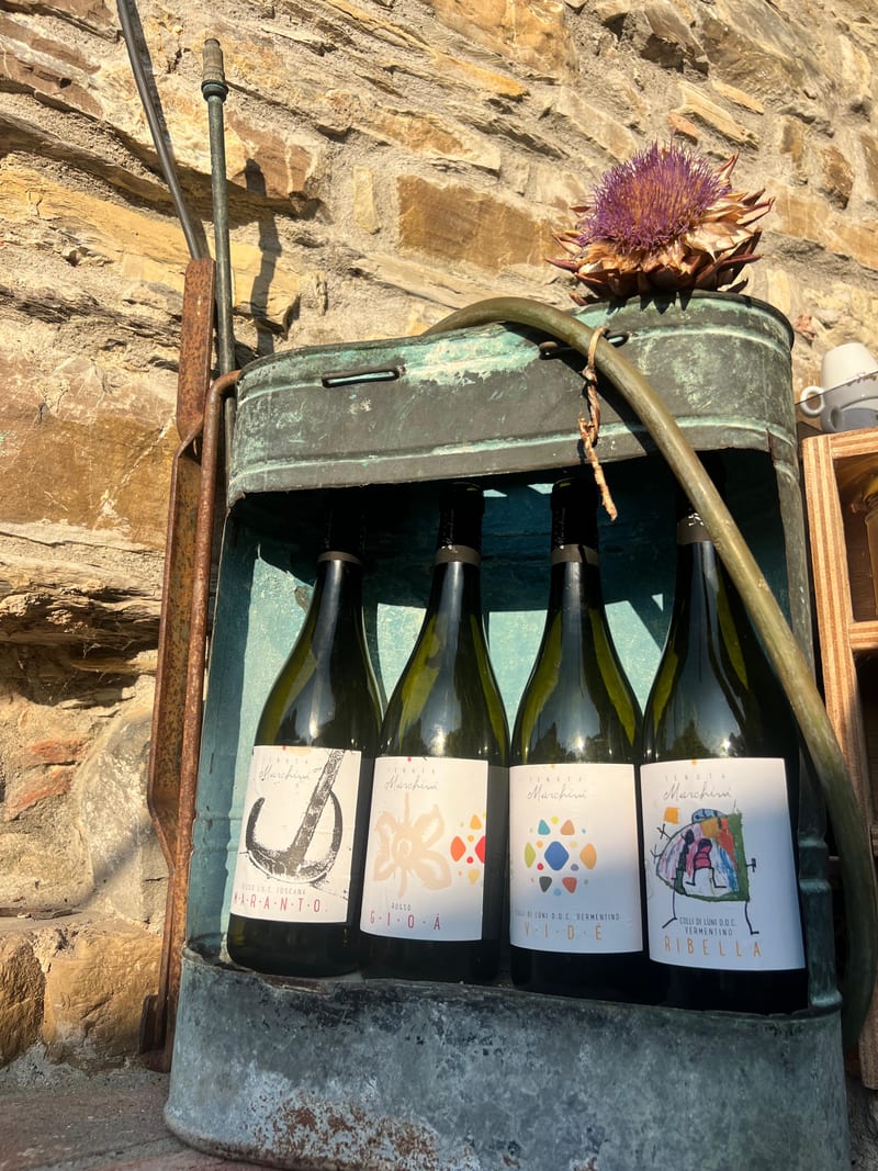 Le quattro bottiglie di Tenuta Marchini: Maranto, Gioà, Vidè e Ribella
